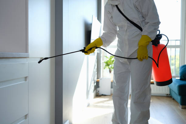 Mold Removal and Inspection in Pike Creek, DE